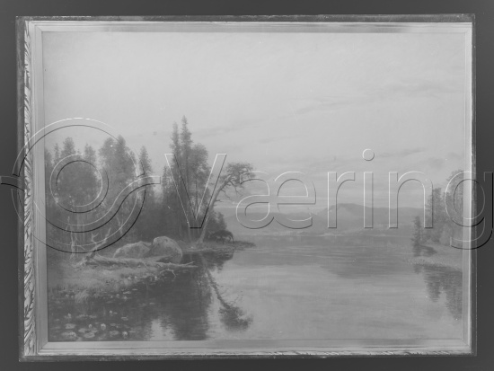 Glassplate og negativ film