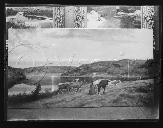 Glassplate og negativ film