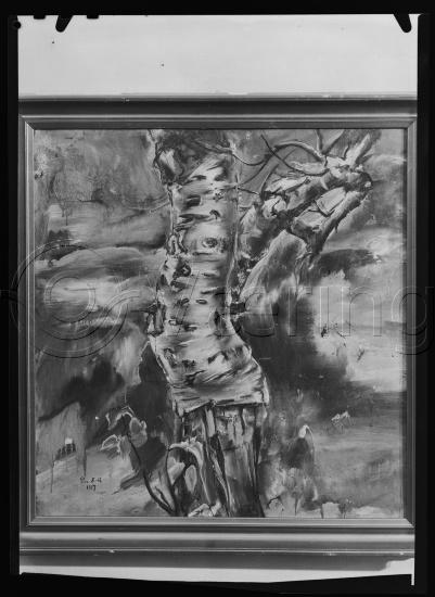 Glassplate og negativ film