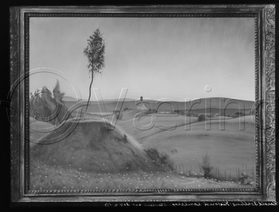 Glassplate og negativ film