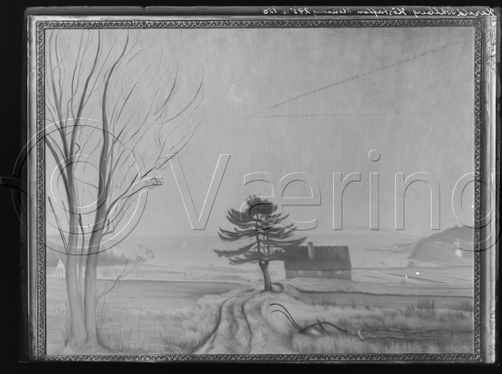 Glassplate og negativ film
