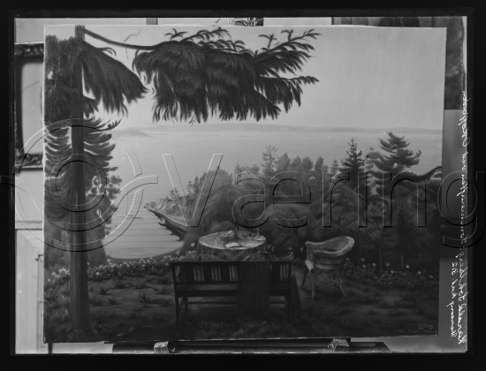Glassplate og negativ film