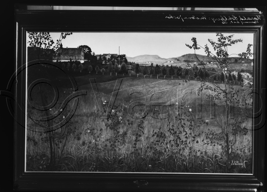 Glassplate og negativ film