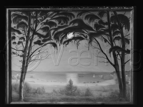 Glassplate og negativ film