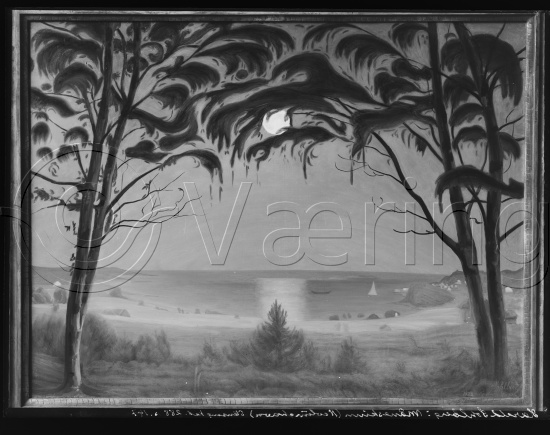 Glassplate og negativ film