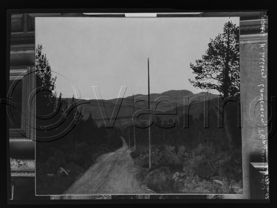 Glassplate og negativ film