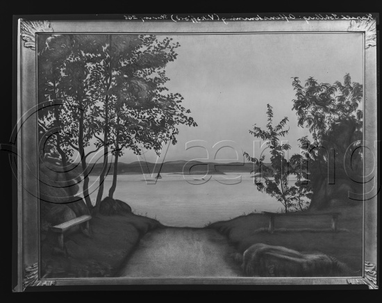 Glassplate og negativ film