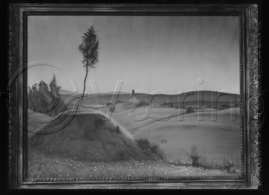 Glassplate og negativ film