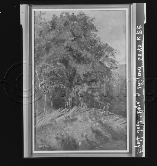 Glassplate og negativ film