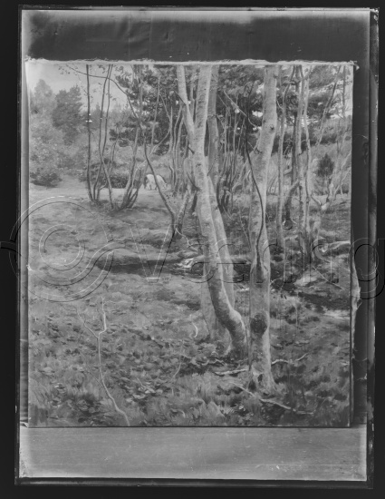 Glassplate og negativ film