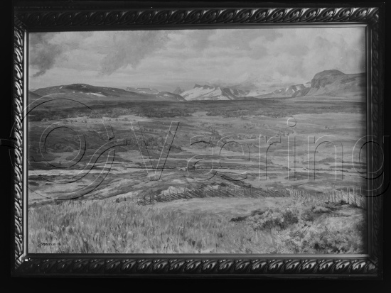 Glassplate og negativ film