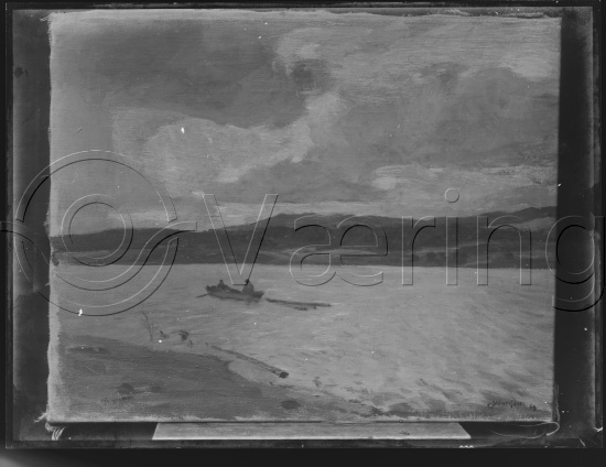Glassplate og negativ film