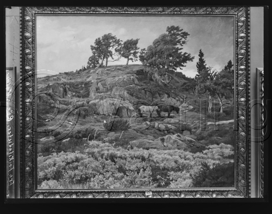 Glassplate og negativ film
