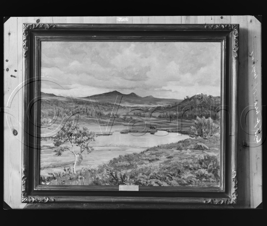 Glassplate og negativ film