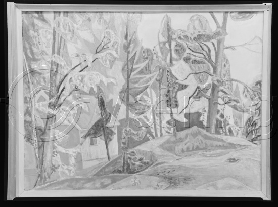 Glassplate og negativ film