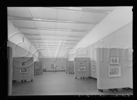 Glassplate og negativ film