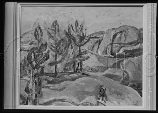 Glassplate og negativ film
