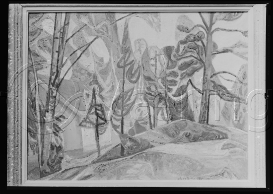 Glassplate og negativ film