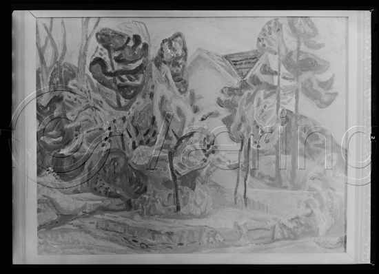 Glassplate og negativ film