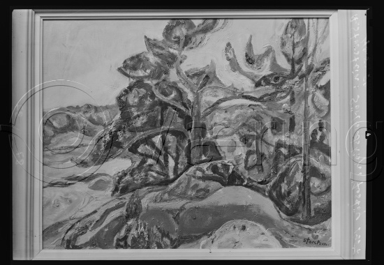 Glassplate og negativ film