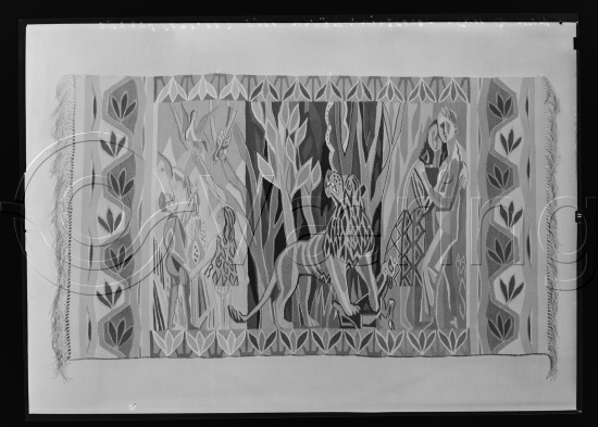 Glassplate og negativ film