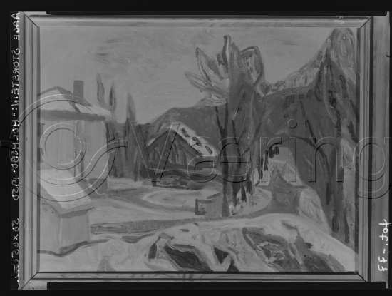 Glassplate og negativ film