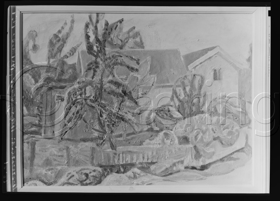 Glassplate og negativ film