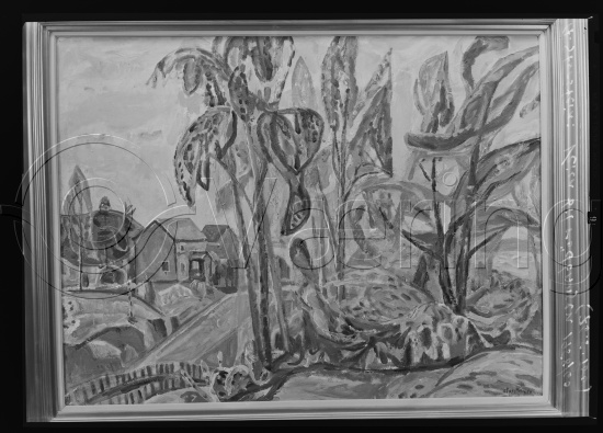 Glassplate og negativ film