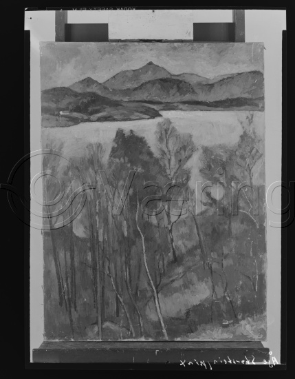 Glassplate og negativ film