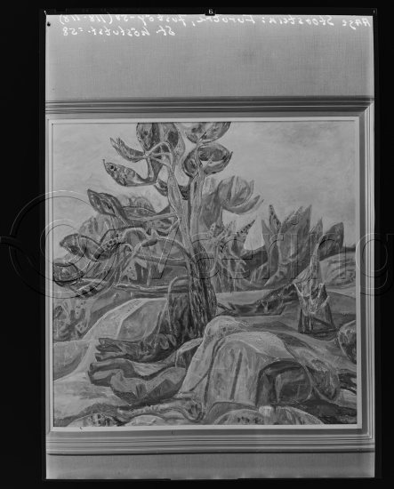 Glassplate og negativ film