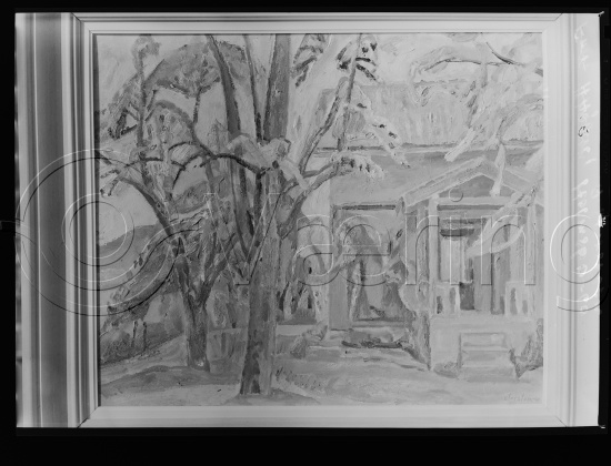Glassplate og negativ film