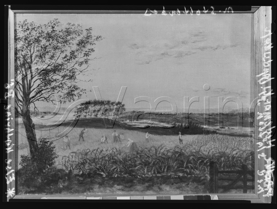 Glassplate og negativ film