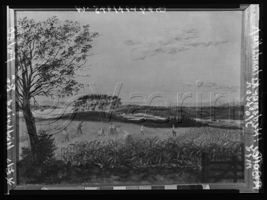 Glassplate og negativ film