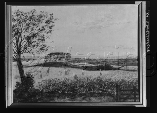 Glassplate og negativ film