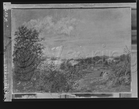 Glassplate og negativ film