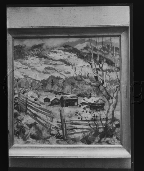 Glassplate og negativ film