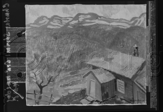 Glassplate og negativ film