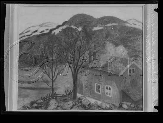 Glassplate og negativ film