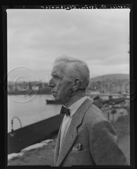 Glassplate og negativ film