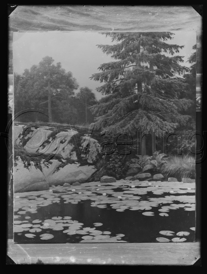 Glassplate og negativ film