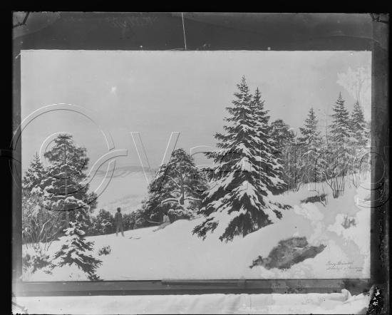 Glassplate og negativ film