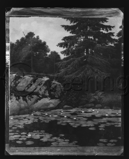 Glassplate og negativ film