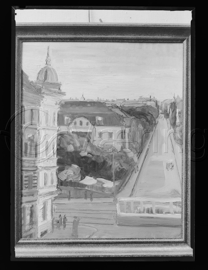 Glassplate og negativ film / I fotoeske med teksten Christiania motiver - Svarstad