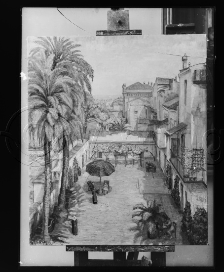 Glassplate og negativ bladfilm