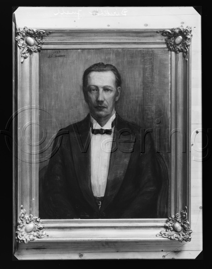 Glassplate og negativ bladfilm