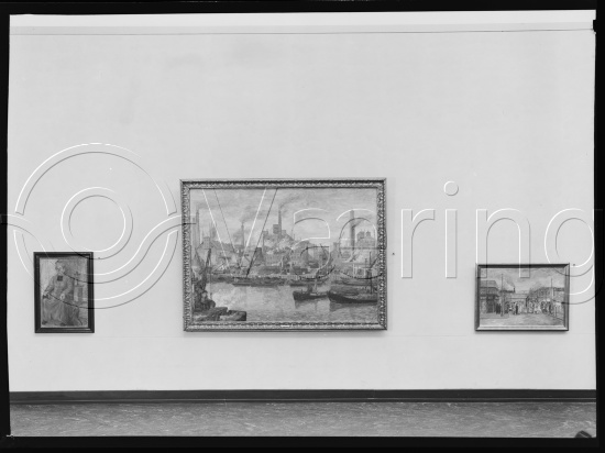 Glassplate og negativ bladfilm