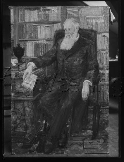 Glassplate og negativ bladfilm