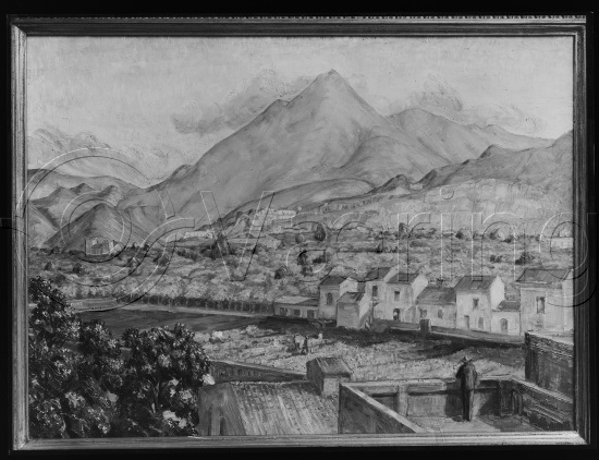 Glassplate og negativ bladfilm