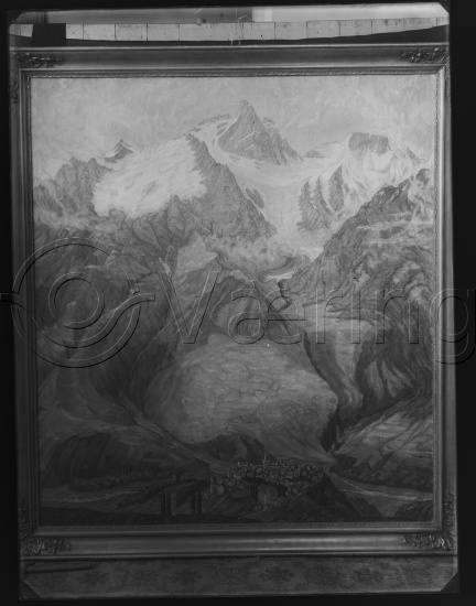 Glassplate og negativ bladfilm