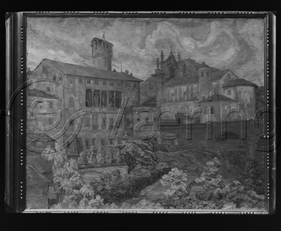 Glassplate og negativ bladfilm